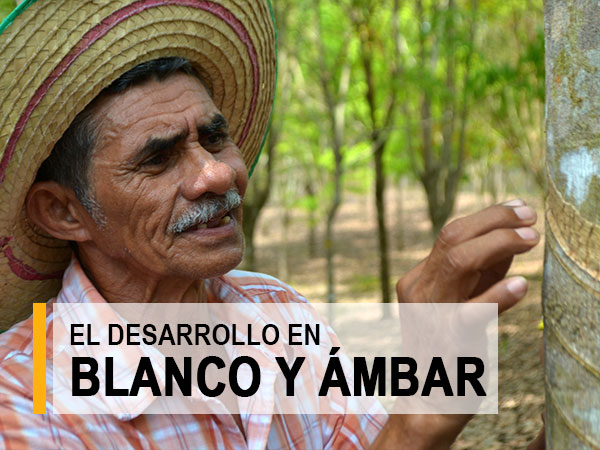 blancoyambar01