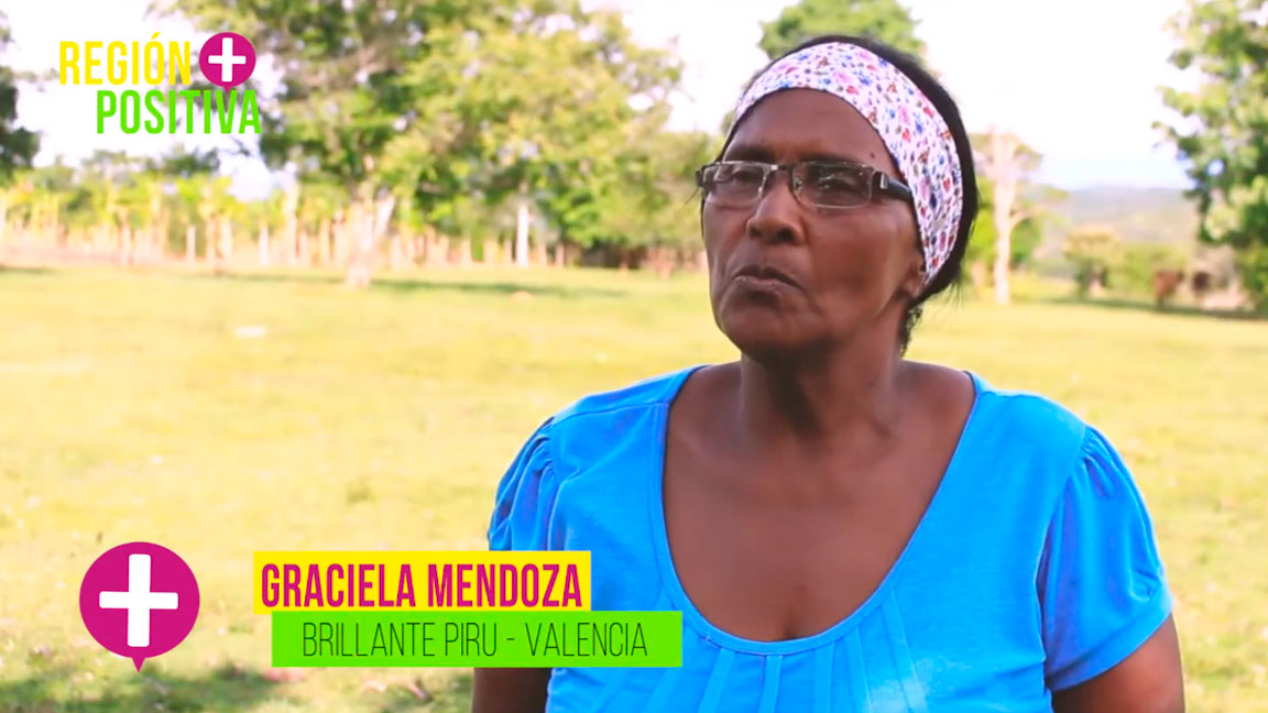 Cap 26. Barreras vivas